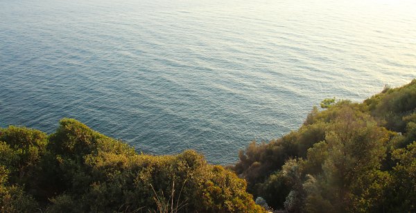 Natur am Meer Wandbild