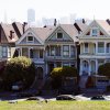 Painted-Ladies