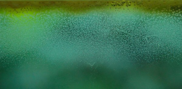 Gruenes Wasser