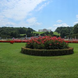 Schlossgarten-Schoenbrunn