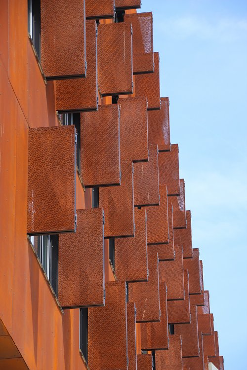 Wabenbau Wandbild