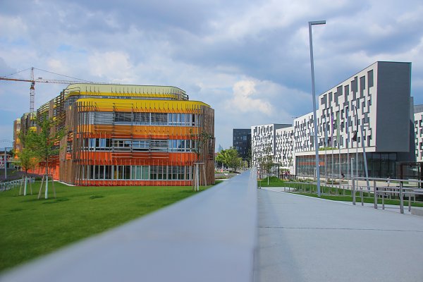 Zukunft Wandbild