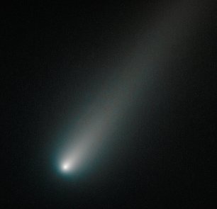 Hubble Comet ISON Wandbild