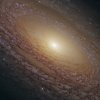 Hubble-Spiral-Galaxy-NGC2841