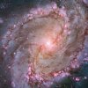 Hubble-Stellar-Genesis