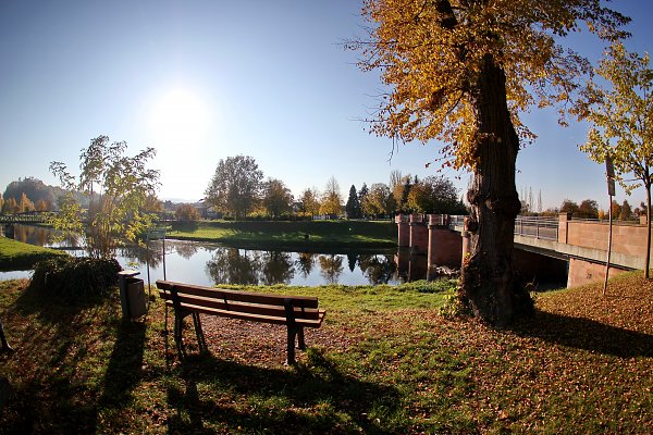Bank am Fluss Wandbild