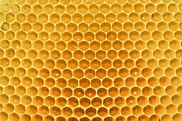 Bienenwaben Honig Wandbild