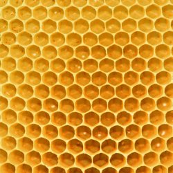 Bienenwaben-Honig