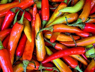 Feuerrote Chillis Chillischoten Wandbild