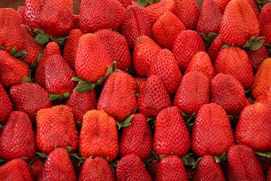 Frische Erdbeeren Wandbild
