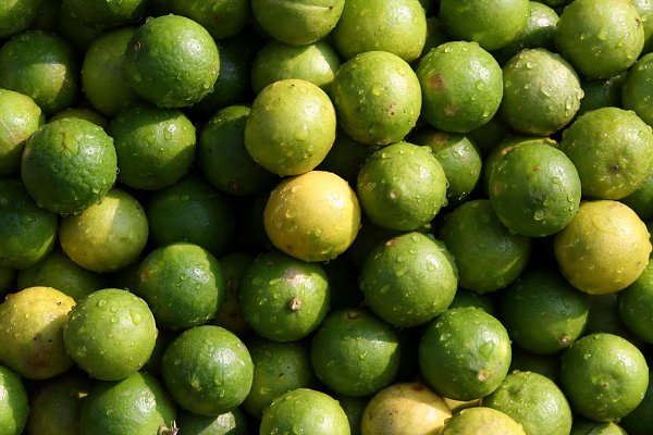 Frische Limetten Wandbild