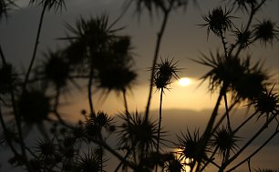 Schatten im Abendrot Wandbild