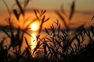 Sonnenuntergang Silhouetten Wandbild