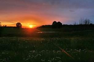 Wiese Sonnenuntergang Abendrot Wandbild