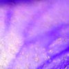 Blumen-Glitter-Lila-Blau